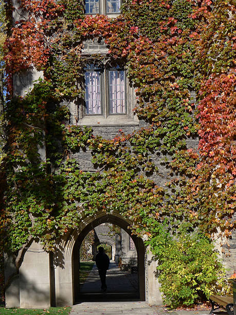 istock College building with ivy 153768861