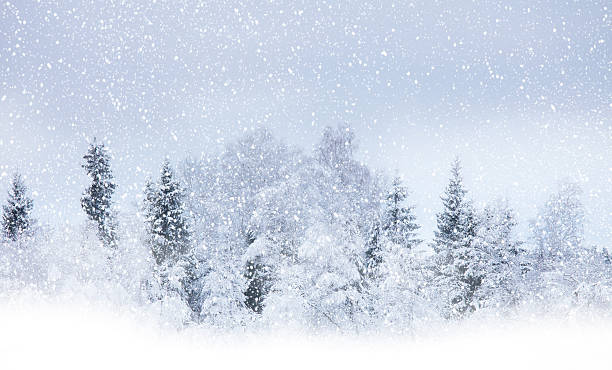 Snowing stock photo