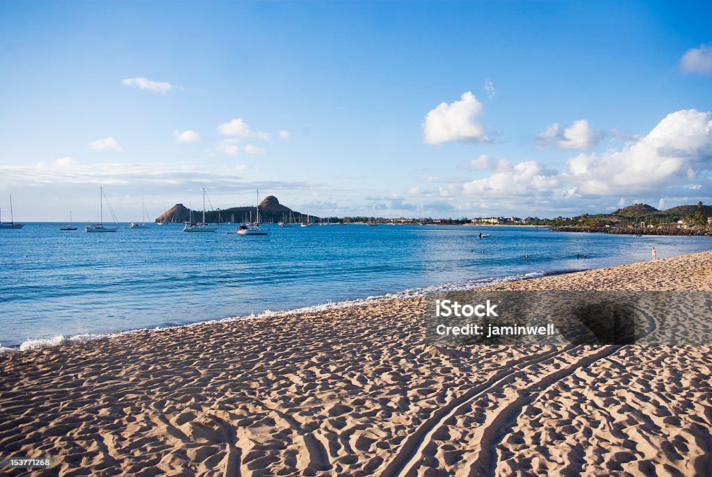 Coole Strand von Reduit Landschaft von St. Lucia - Lizenzfrei Strand von Reduit Stock-Foto