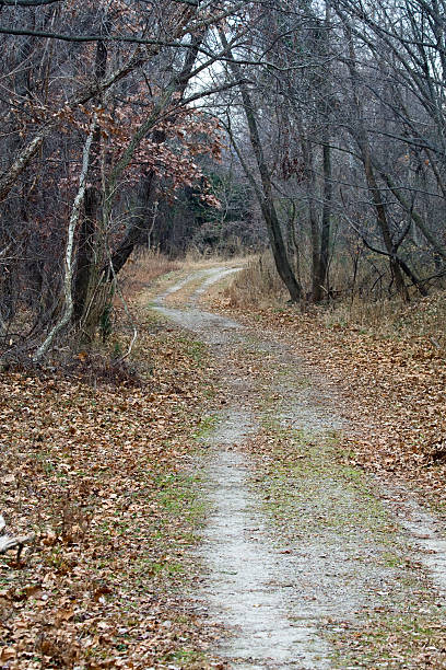 istock Country Road in Virginia 153771691