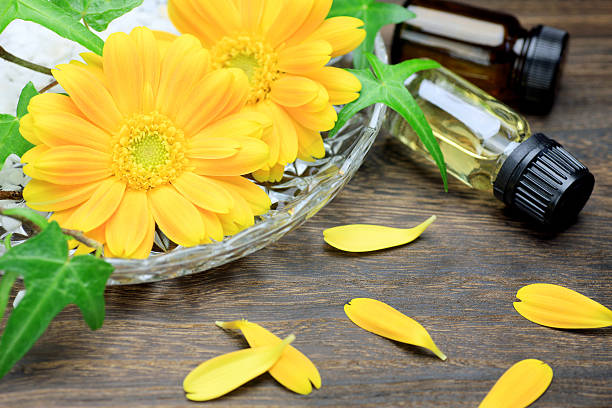 gerbera y aceite de aromaterapia - royal ivey fotografías e imágenes de stock