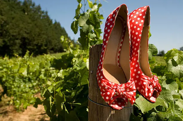 A bride's high heels with polka-dots hanging from a pole in a vineyard
