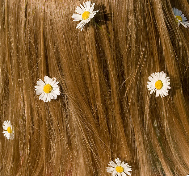 istock Hair with camomiles 153772816