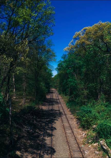 istock Railroad tracks, with foliage 1537731917