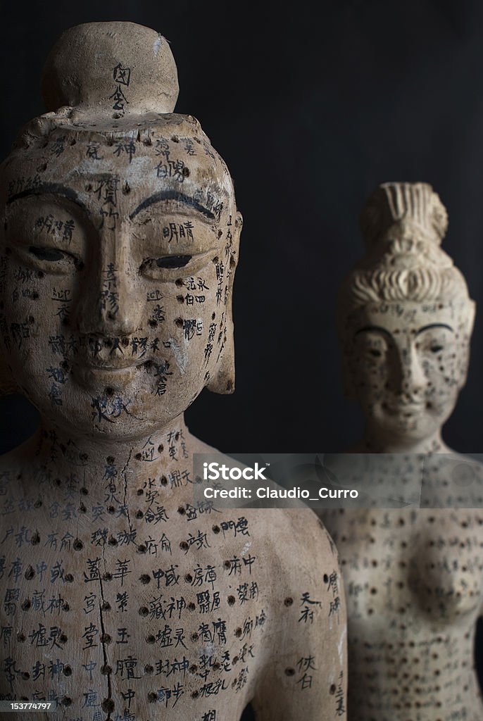 Acupuncture Wooden Figurines Male and female wooden figurines used in ancient China for practicing acupuncture. Acupuncture Stock Photo