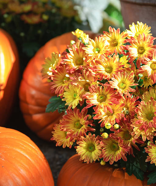 istock Thanksgiving Holiday Bouquet 153775269