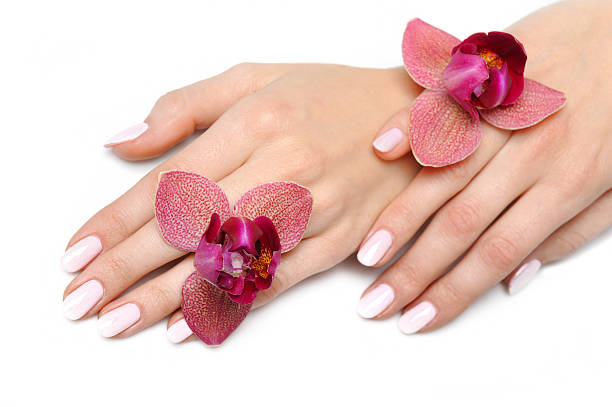 Beautiful hand with perfect nail pink manicure and purple orchid stock photo