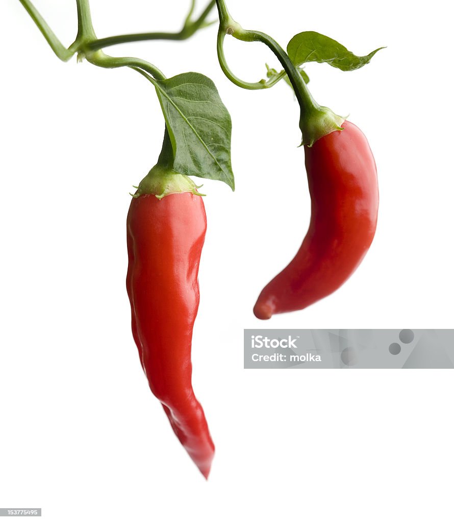 Red hot chili - Foto stock royalty-free di Agricoltura