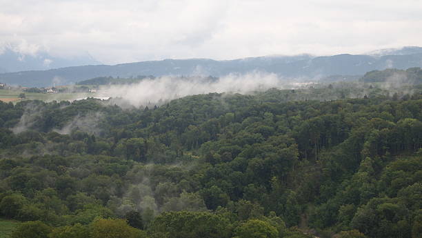 View of the land and forest with fog from tower stock photo