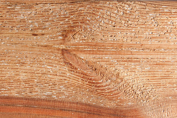 Fresh brown, larch wood board texture stock photo