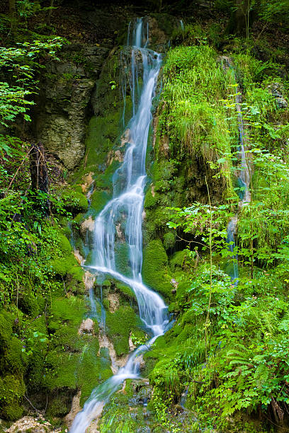 water fall stock photo