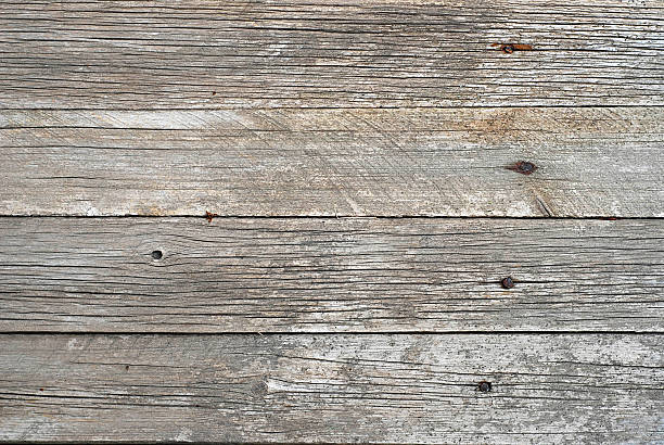 texture de plaque en bois vieux - Photo