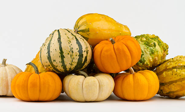 istock Group of pumpkins 153777760