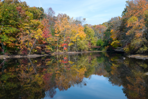 An Autumn pond with reflections of the changing leaves at Allaire State Park in New Jersey.