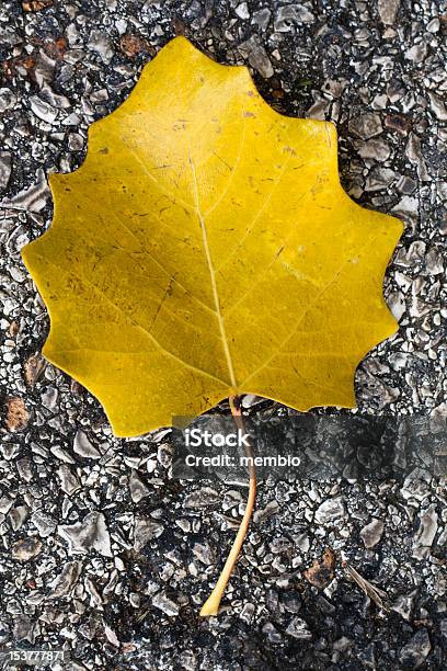 Abbandonato Foglia - Fotografie stock e altre immagini di Autunno - Autunno, Cadere, Composizione verticale