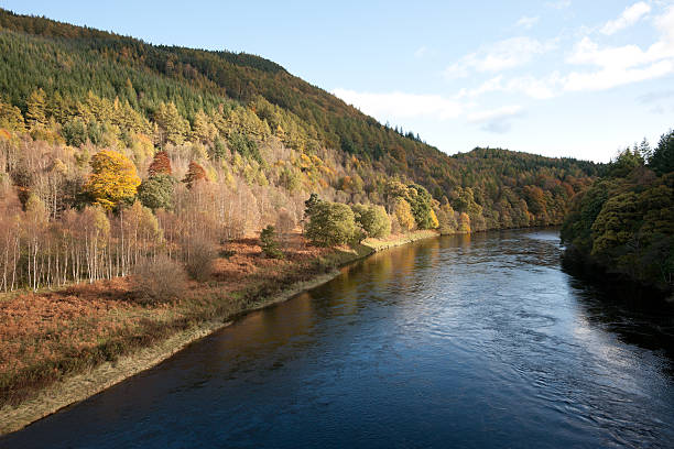 The mighty River Tay rolls wide, through autumn woodlands on a beautiful October day. This is a view familiar to motorists travelling on the A9, who catch a fleeting glimpse of it as they cross the Tay just north of the historic twin towns of Dunkeld and Birnam.