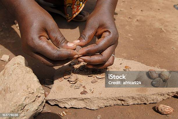 Shea Butter Stock Photo - Download Image Now - Shea Butter, African Ethnicity, Africa
