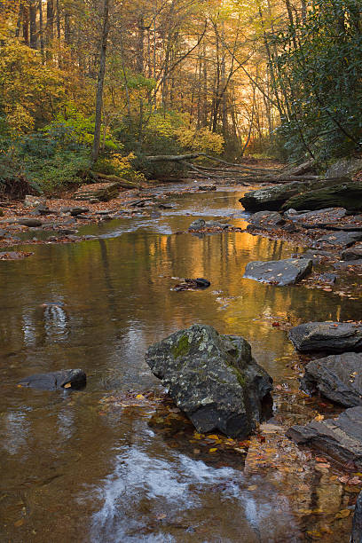 Morning Sun Creek stock photo