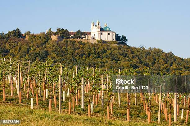 Leopoldsberg Visto De Vino De Viena Foto de stock y más banco de imágenes de Viena - Austria - Viena - Austria, Excursionismo, Aire libre