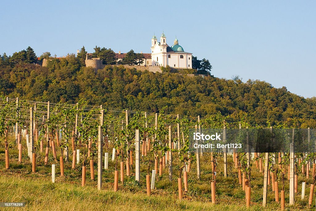 Leopoldsberg vista do jardim, vinho de Viena - Foto de stock de Viena - Áustria royalty-free