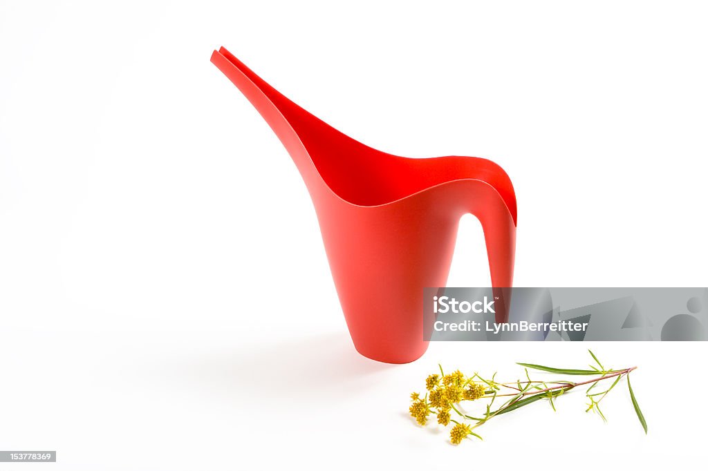 Red Watering Can Red Watering Can and yellow golden rod flowers Flower Stock Photo