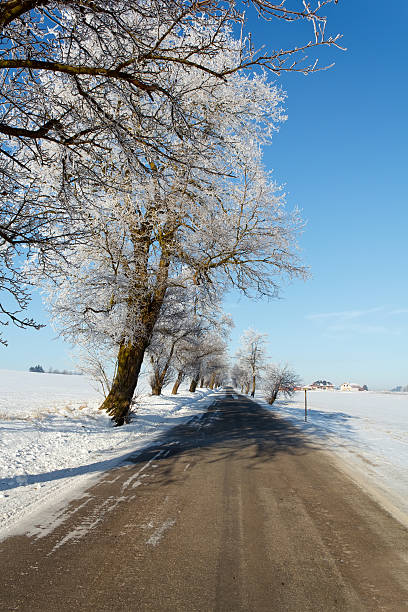 istock Winter road on a sunny frosty day 153778589