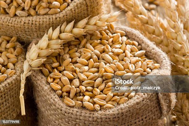 小麦 - オーガニックのストックフォトや画像を多数ご用意 - オーガニック, オーツ麦, バッグ