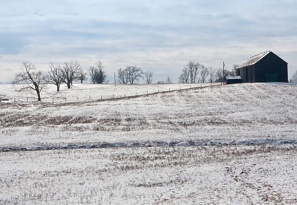 ケンタッキー冬 - winter agriculture ranch field ストックフォトと画像