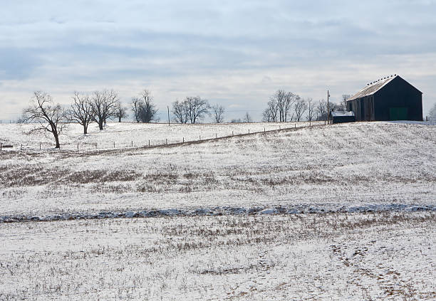 kentucky de inverno - winter agriculture ranch field - fotografias e filmes do acervo