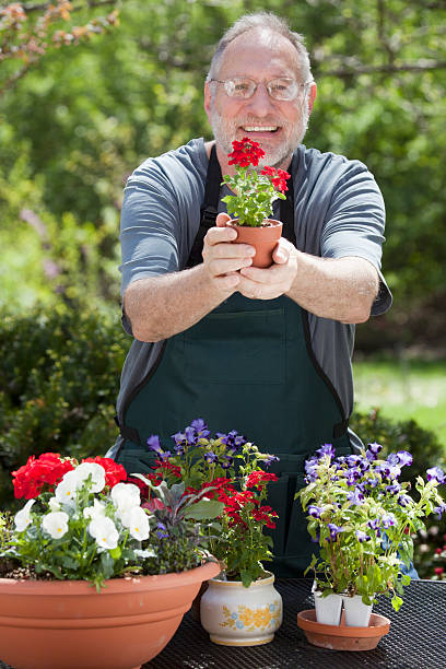 istock Man Gardening Outdoors 153779761