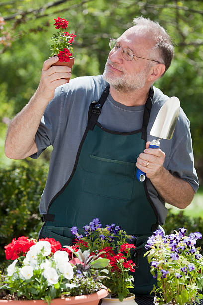 istock Man Gardening Outdoors 153779767
