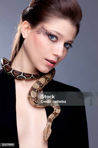 A Guide to Caring for Boa Constrictors as Pets