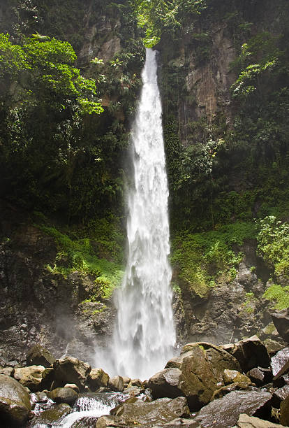 istock Sari-Sari waterfall in Dominica 153780094