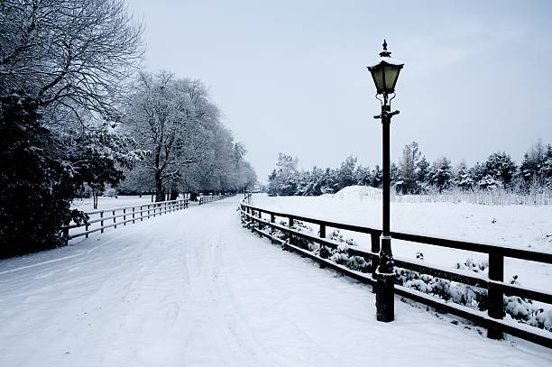 Snow covered avenue of stately home in Ireland at Christmas.