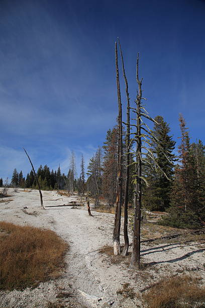 istock Yellowstone National Park - Mountain Slope 153780406