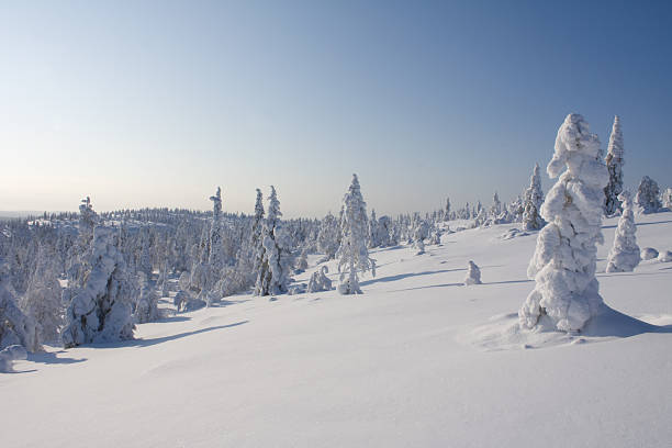 Finnish Lapland stock photo