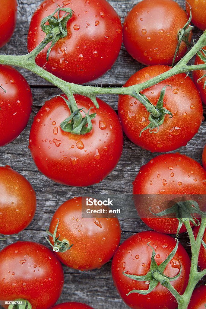 Tomatoe vines - Foto stock royalty-free di Agricoltura
