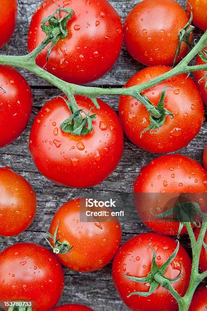 Tomatoe Vines - Fotografie stock e altre immagini di Agricoltura - Agricoltura, Alimentazione sana, Antiossidante