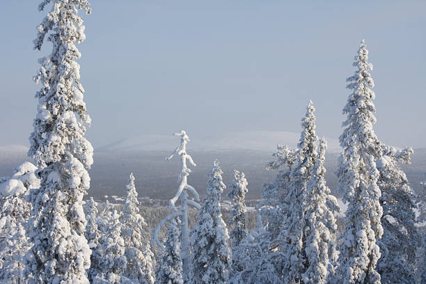 Finnish Lapland stock photo