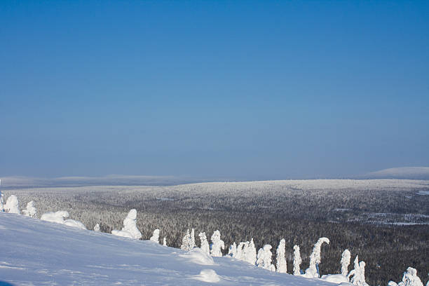 Lapland in Winter stock photo