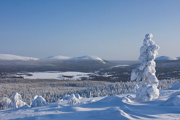 Panorama of the wild Northern Yakut spruce taiga with hills behind the gray day.