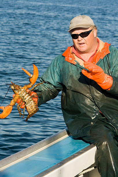istock Fisherman and a live lobster 153781440