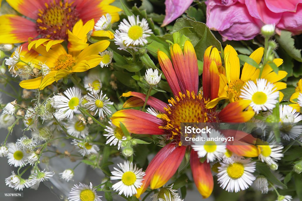 bouquet - Foto stock royalty-free di Amore