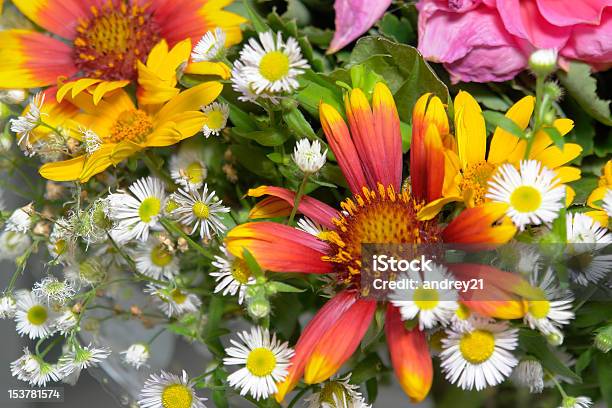 Bouquet - Fotografie stock e altre immagini di Amore - Amore, Anniversario, Arredamento