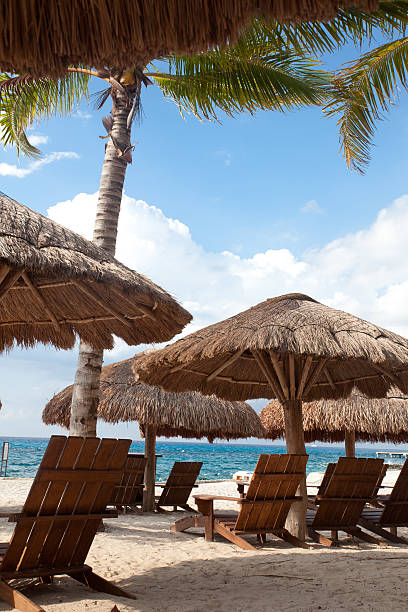istock Beach resort at Costa Maya Mexico 153782866