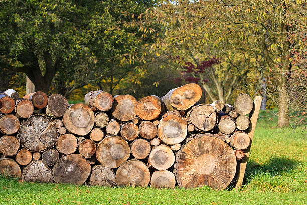 logpile - logpile stock-fotos und bilder