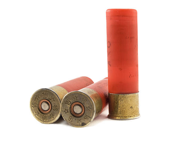 istock hunting cartridges for shotgun 16 caliber 153784136