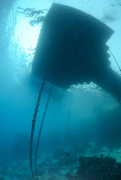 istock Floating jetty above a coral reef 153784598