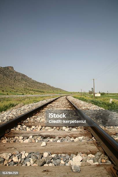 Ferrovia - Fotografie stock e altre immagini di Albero - Albero, Albero sempreverde, Ambientazione esterna