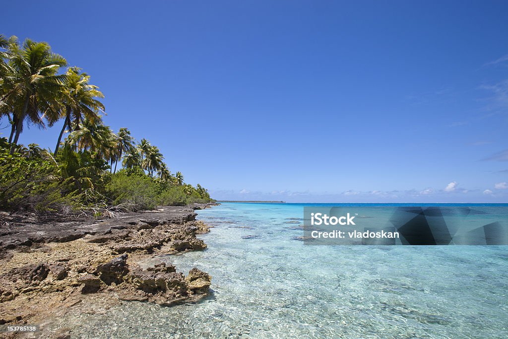 Rafa i dłoń Drzewo na blue lagoon - Zbiór zdjęć royalty-free (Wyspa Reunion)
